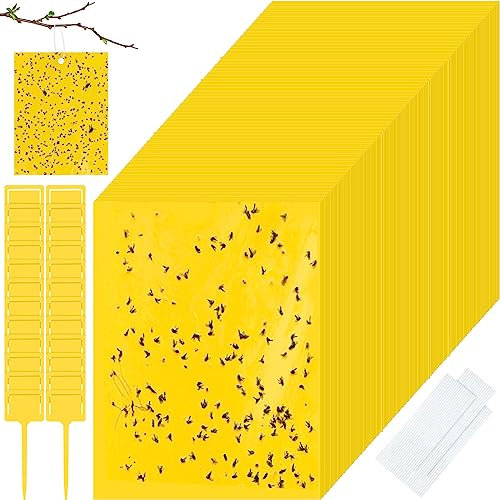 200 trappole adesive per moscerini, trappole adesive per moscerini della frutta, per interni ed esterni, trappole appiccicose con fascette e supporti in plastica, per piante volanti, insetti,