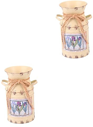 Cabilock 2pcs Hydroponics Flower Container Retro Gardening Bucket Handmade Iron Flower Pot for Home