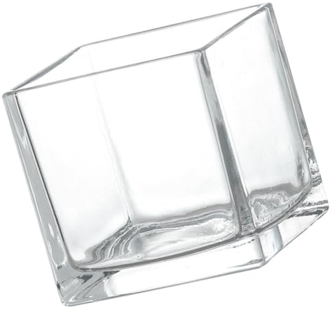 Garneck Square Glass Vases, Clear Cube Vase Small Glass Container Plant Terrarium Candle Holder for Wedding Centerpiece Home Decoration 10x10cm