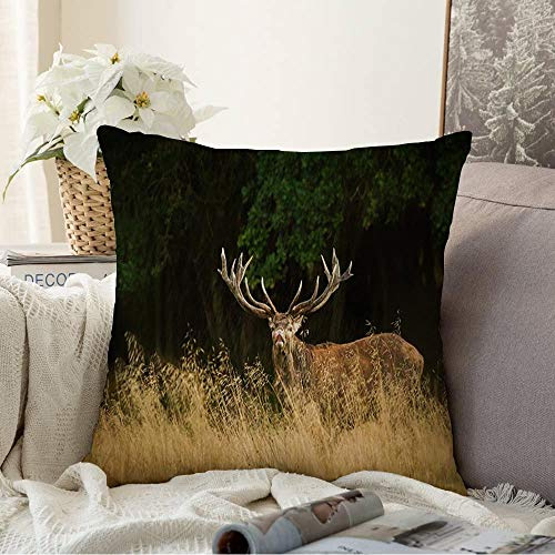 Starojul Decorative Square Throw Pillow Cover Cushion Covers Dyrehaven Roar Majestic Powerful Adult Moor Red Young Elaphus Brown Deer Stag Big Animals Wildlife Pillow case for Sofa Couch 16x16 Inch