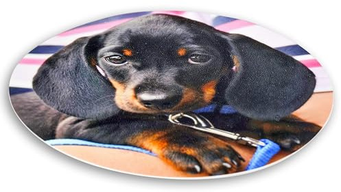 LOOXIS Personalisiertes essbares Foto & Text, selbst gestalten – 20 cm Durchmesser, Tortenaufleger, Zuckerbild, Fondant-Papier, versch. Größen – Kindergeburtstag, Taufe, Hochzeit – Rund 20 cm Ø