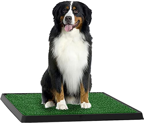 QQAA Toilette per Cani, Lettiera per Cani Facile da Pulire, Tappetino per Erba con Vassoio, Realizzato in Plastica di Alta qualità, Sicuro e Non Tossico