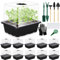 KIMIGO Mini Serre pour Plantes,10 Pièces 120 Cellules Intérieure Plateau Semis,Boite Semis avec Couvercle surélevé,Serre Intérieure Pépinière Boîte,Bac à Semis Pépinière Boîte Réutilisables,Noir