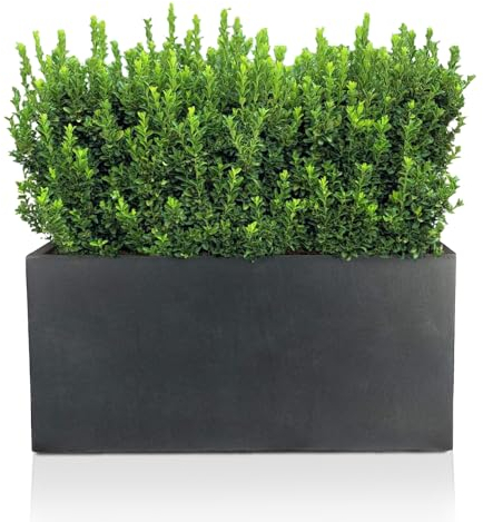 IDEALIST Plant Pots 50cm Window Box Planter, Slate Reinforced Stone, 21L