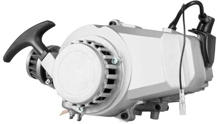 Motor 49CC 2-Takt Einzelzylinder Mini-Motor Lufterzwungene Kühlung Rennmotor mit Kraftstofftank für Pocket Bike Mini Dirt Bike ATV Roller