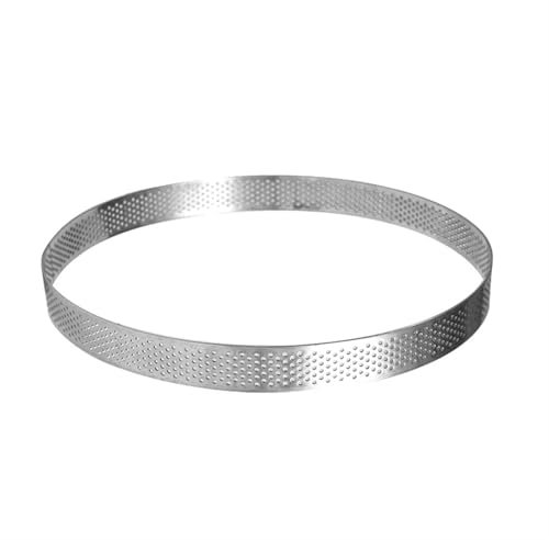 Zymjzbetic Moule à Tarte Circulaire en Acier Inoxydable perforé for Tarte aux Fruits, Quiche, gâteau, Moule de Cuisson de Cuisine pour Cuisson Cuisson(20CM)