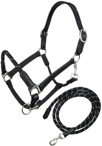 Brama West Leder Halfter-Set Pferd Bronco- Halfter & Führstrick - verstellbar - Karabinerhaken - Schwarz, Cob