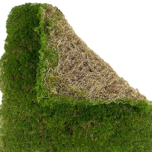 AQCQDQ Moosmatten zur Dekoration, 50x50 cm Kunstmoos zum Dekorieren, Fake Dekomoos Bastelmoos, Flachmoos für Moosbilder und Mooswände