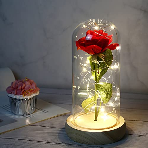 Die Schöne und die Biest Rose, Ewige Rose in Transparente Kuppel,Geschenk für Muttertag, Jubiläum, Geburtstag, Valentinstag, Zimmer Dekor