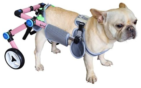 Jievmrs Hunderollstuhl Zusammenklappbarer Hundewagen mit 2 Rädern für Die Hinterbeine, Rehabilitations-Rollstuhl für Hinterbeinverletzte, Hunde-Gassi-Assistent, Bequem zu Verstauen(L)