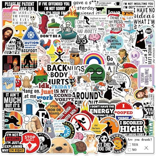 100pcs Prank Meme Decals, Classic Funny Graffiti Colorful Waterproof Vinyl Stickers for Laptop Skateboard