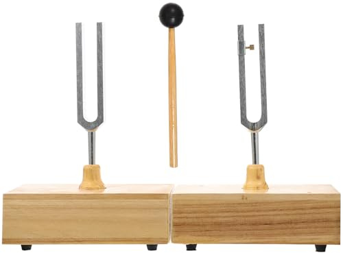 Toyvian Stimmgabel Physikalische Experimente Mit Hammer Aus Metall Und Holz Gefertigt Für Akustik-experimente Und Musik-education