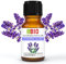 Lavanda vera Officinalis Bio Olio essenziale 100% Puro 10 ml - Uso interno Terapeutico Alimentare Diffusori Aromaterapia Cosmetica Cucina - Laborbio