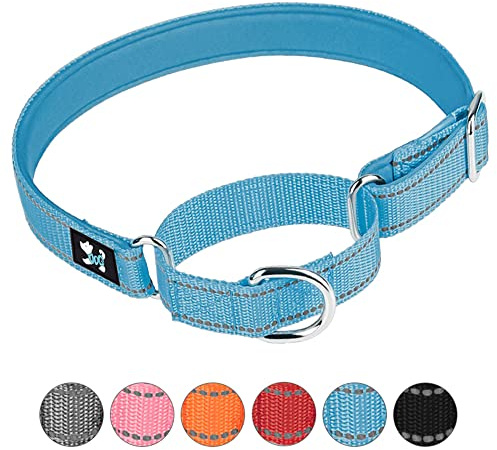 haoyueer Justerbar martingal säkerhetsträning hundhalsband, mjuk neopren vadderad andningsbar nylon husdjurshalsband för små medelstora hundar (L, blå)