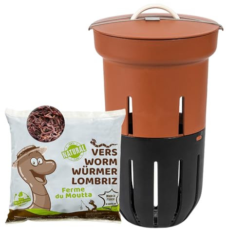 Moutta | Lombricomposteur Terracotta à enterrer 12L | 250gr de vers de Compost | A enterrer dans Votre jardinière | Compostez Vos déchets organiques | Parfait pour Nourrir Vos Plantes