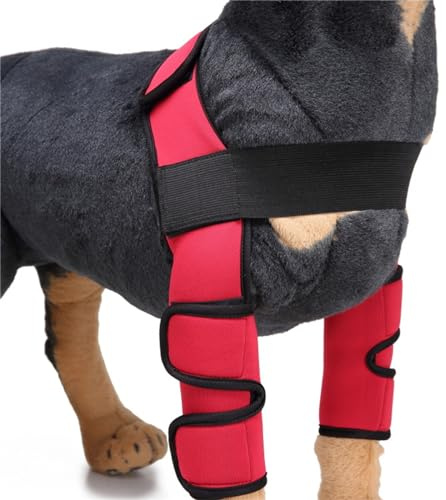 Protector de rodilla para perro, protector de rodilla antilamidas, rodillera frontal, rodillera de recuperación, coderas para perros