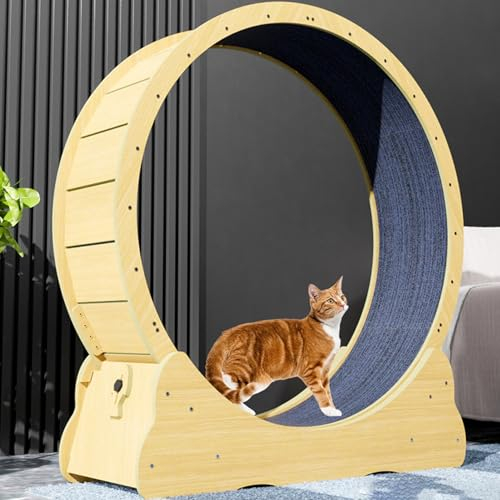 ExoticaBlend Katzenlaufrad für Wohnungskatzen, Leises Kleines Mittelgroßes Laufrad für Katzen, Kleine Lücke Haustier Katze Laufrad Spielzeug mit Bremse,XL