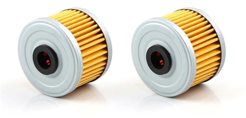 Filtres à huile pour moto Filtre à huile compatible avec Loncin VOGE Valico 300R/RR/AC/GY/DS Rally 300 300AC et LONCIN CR6 LX300-6A. Nettoyant pour filtre(2pc)