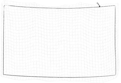 Générique Filet pour remorque avec Corde élastique Blanc 2,1x1,25 m PP,Filets de Transport pour véhicules motorisés,0.77KG-4012252