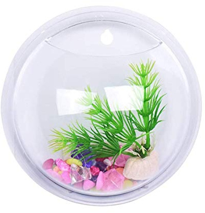 Acquario da muro - vaso - pesci in vetro - piante idroponiche - design da parete - visto in televisione - da 15 cm - Idea Regalo originale