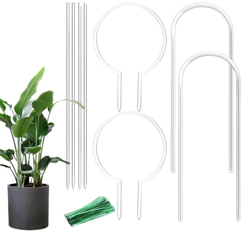 Tuteur pour d'intérieur – Tuteur en Acrylique Transparent pour en Pot | Support décoratif avec nœud pour Pots et piquets Tuteur pour légumes Pothos et vignes