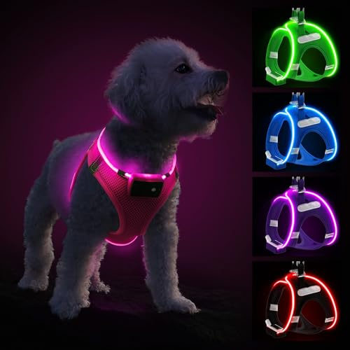 PcEoTllar Leuchtgeschirr LED, aufladbar & reflektierend für Hunde, Rosa-XS | Hundegeschirr leuchtend, beleuchtetes Leuchtgeschirr für Welpe, kleine & mittlere Hunde. Atmungsaktiv, 9 Modi.