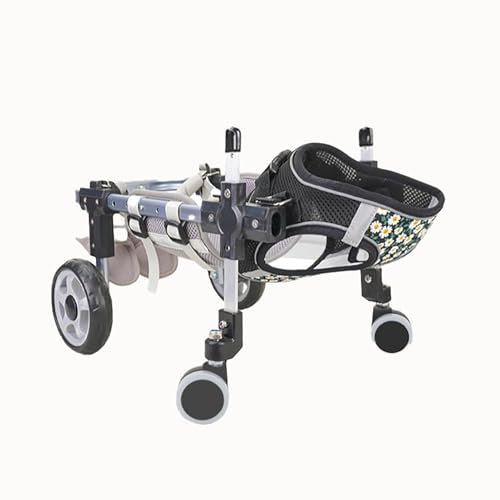 Générique Chariot de Transport léger et réglable pour Chiens et Chats, Fauteuil Roulant à 2 ou 4 Roues pour Petits, Moyens et Grands Animaux – Aide à la rééducation idéale pour Les Animaux handicapés