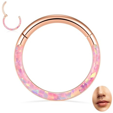 hengkaixuan 16G Nasenringe Septum Clicker 316L Chirurgisches Stahlsegment Helix Knorpel Conch Hoop Ohrringe Hoop Conch Hoop Daith Piercing Schmuck