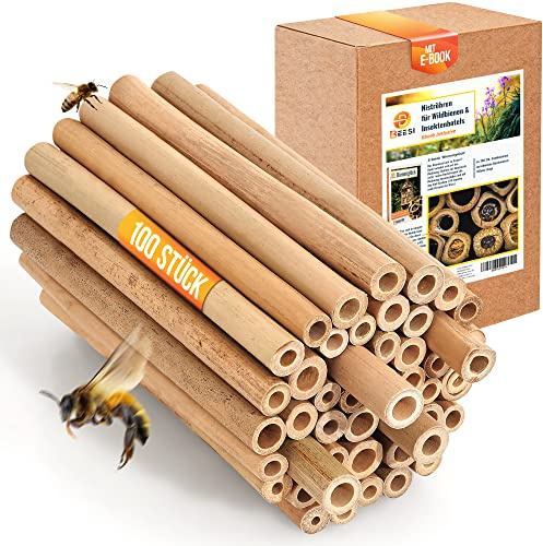 200x BEESI Nisthülsen Bambus für Bienenhotel I 14 cm Länge I Bambusrohr für Insektenhotel I Füllmaterial Wildbienen Zubehör