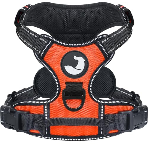 Joytale Anti-Zug Hundegeschirr für kleine Hunde, Orange, S | Perfekter Sitz, gepolstert & reflektierend, 2 Anleinpunkte (vorne & hinten), Haltegriff für Treppen & Auto, für Training
