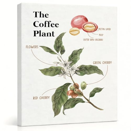 RTVJTERQ The Coffee Plant Art, 8x10 Inches Growing Process Oil Painting, Plant Life Cycle Wall Decor, Rustic Art Piece, Ideal Gift For Enthusiasts & Shop Decor