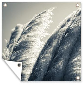 MuchoWow Poster exterieur Herbe de la pampa - Noir - Blanc - Nature Decoration murale 50x50 cm Résistant aux intempéries/soleil