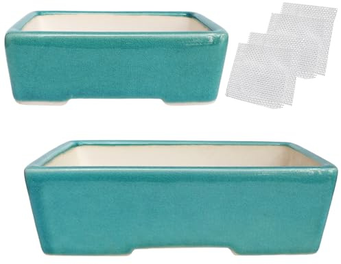 Set di 2 vasi bonsai in argilla bianca Zisha smaltata, vaso poco profondo per piante grasse, blu