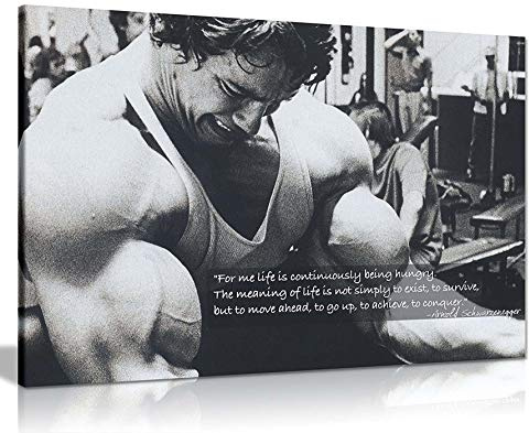 Kunstdruck auf Leinwand, Motiv: Arnold Schwarzenegger Bodybuilding Motivation, 76,2 x 50,8 cm