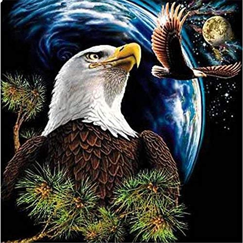 Yingxin34 Jigsaw Puzzle 2000 Teile, Zwei Adler 2000 Stück Puzzles für Erwachsene Kinder Freunde, Intellektuelles Gedankenspiel-39.17x27.75 Zoll (99.5 x 70.5cm)