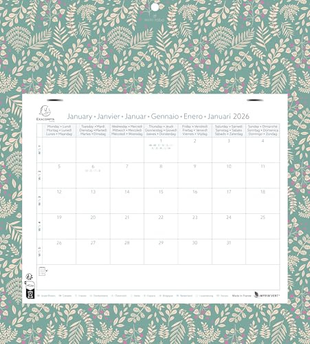 Exacompta - Calendrier mensuel EasyCal Mini Labo 24x18cm sur plaque - 2026