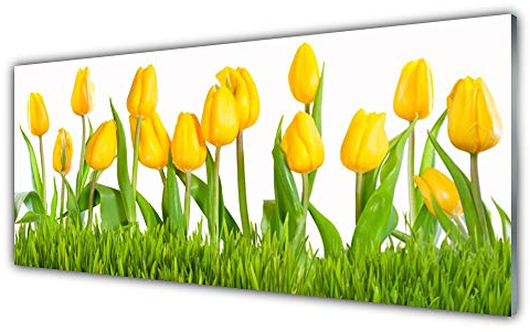Tulup Acrylic Glass Print 125x50cm Wall Art - Wall Picture Plastic Acrylic Glass - Tulips Floral