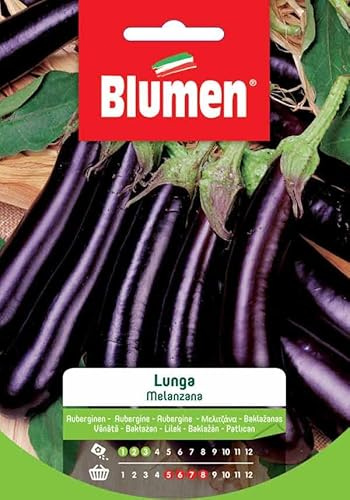 SEMI MELANZANA LUNGA BLUMEN