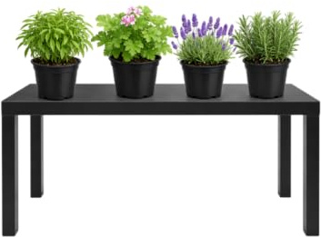 Pack Terraza Sin Insectos de 4 Plantas Vivas DECOALIVE – Geranio Citronela, Romero, Lavanda y Albahaca Estrecha