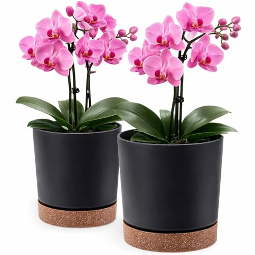 PECZEKO Blumentopf matt, Pflanzkübel aus Übertopf Kunststoff Dekorativer Topf für, groß und klein Pflanzen, 2er-Set blumenkübel, blumenkübel kräutertopf (2 Pack) Anthrazit, ø 15 cm