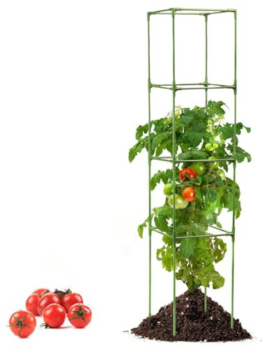 Jaula de Tomate - Marco de Soporte para Verduras, Estructura de jardín de Metal, de estabilización de Plantas multiescenario | Soporte de protección de Escalada para Exteriores para vides