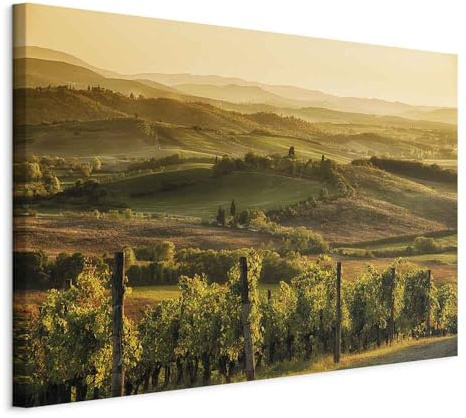 murando - Leinwandbild Toskana Berge Bäume, 120x80 cm, 1-teilig, Wohnzimmer
