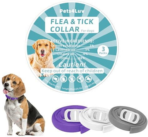 Collar antipulgas para perros, 3 colores, duración hasta 2 años, 65 cm, ingredientes 100% aceites esenciales