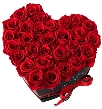 Infinity Flowerbox XXL Herz - 29 echte Premiumrosen in Rot - 3 Jahre haltbar ohne gießen | In Geschenkverpackung mit Satinschleife