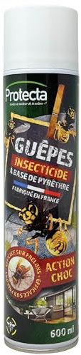 Protecta® Aérosol Insecticide Guêpes & Frelons 600 ml – Action Choc – Portée Longue Distance – Formule à base de Pyrèthre – Efficacité Jusqu’à 10 Jours