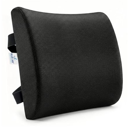 Blue Jay Memory Foam Lumbar Support for Wheelchair - Orthopedic Back Cushion for Elderly, Posture Correction & Lower Back Pressure Relief - Breathable Mesh