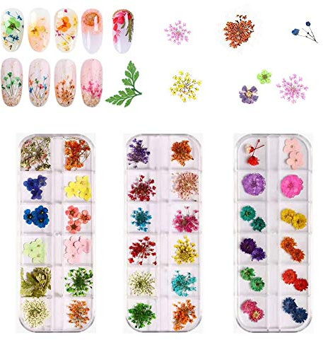 Nail art fiori secchi 3 scatole 36 colori Applique per unghie 72 pezzi 3D Adesivi per decorazione fai da te nail art