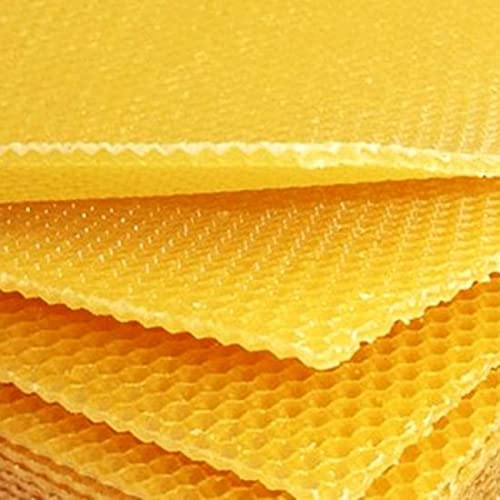 Biene Bienenwagner Mittelwände 2Kg Zander Zertifiziert/Analysiert (Zander 2kg)