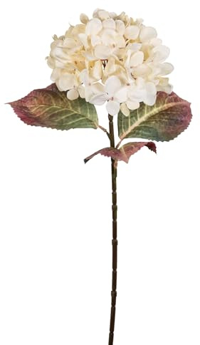 Seidenblumen Roß Herbst-Hortensie 65cm HB Kunstblumen künstliche Blumen Blumen Dekoblume (Creme)
