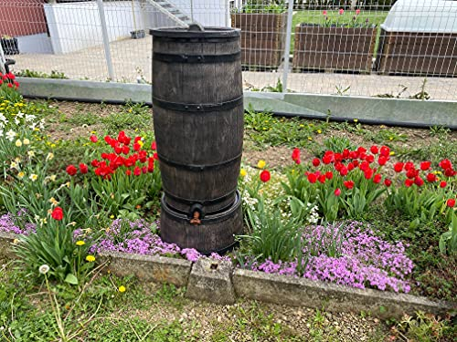 Roto Regenfass, Wasserfass, Regentonne 150 L, holzimitation, 470x470x1000 Barril de Lluvia Fino de 150 litros, Efecto Madera o Pino